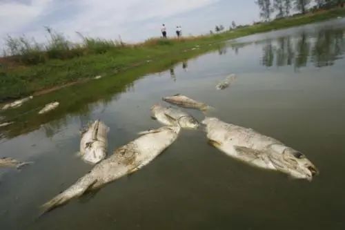 養殖水質檢測